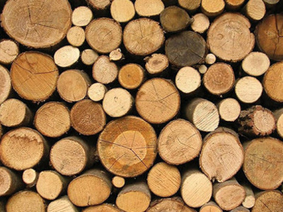 Łotewska firma zajmująca się obróbką drewna, kupi kłody. 