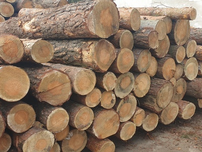 Drewno sosna "paletówka" S2B dł. 2,5 m