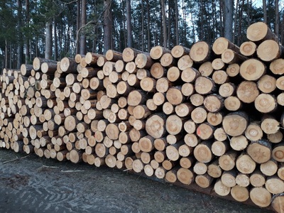 Sprzedam drewno na palety So, Św, S2B, 2,5m, 2,0m, 1,8m, Transport drewna