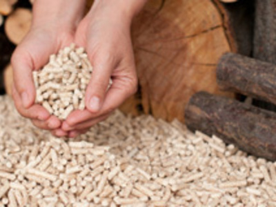 Buy Premium Wood Pellets Top Quality 