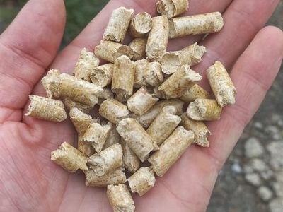 wood pellet premium