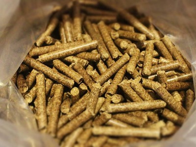 Pellets, wood briquettes, sunflower, straw, dried, bran, oil, coal, peat. From 200 PLN / ton. We offer permanent sale